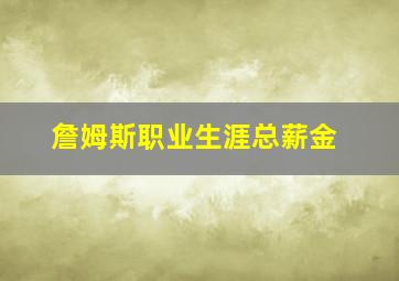 詹姆斯职业生涯总薪金