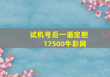 试机号后一语定胆17500牛彩网