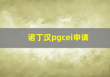 诺丁汉pgcei申请