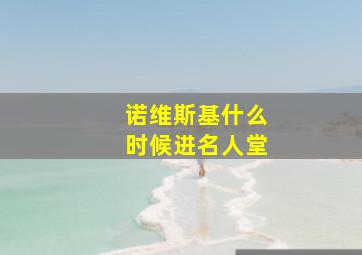 诺维斯基什么时候进名人堂