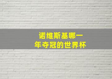 诺维斯基哪一年夺冠的世界杯