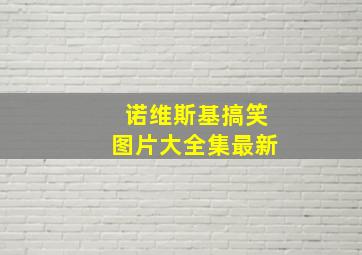 诺维斯基搞笑图片大全集最新