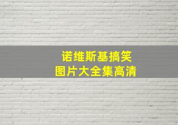 诺维斯基搞笑图片大全集高清