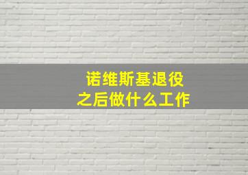 诺维斯基退役之后做什么工作