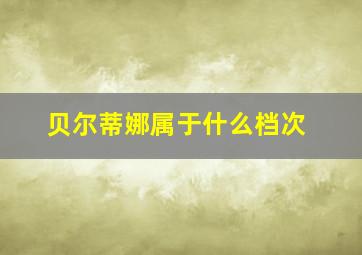 贝尔蒂娜属于什么档次