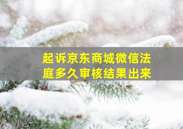 起诉京东商城微信法庭多久审核结果出来