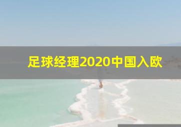 足球经理2020中国入欧