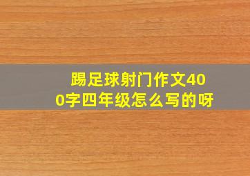 踢足球射门作文400字四年级怎么写的呀