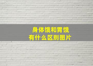 身体饿和胃饿有什么区别图片