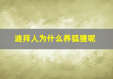 迪拜人为什么养狐狸呢