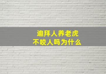 迪拜人养老虎不咬人吗为什么