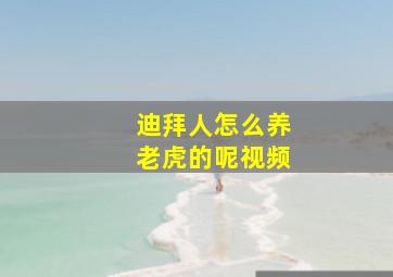 迪拜人怎么养老虎的呢视频