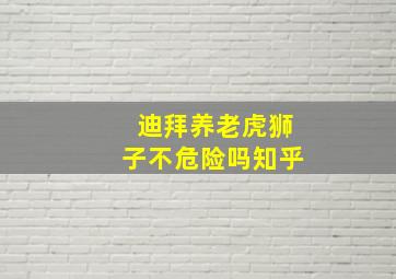 迪拜养老虎狮子不危险吗知乎