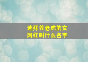 迪拜养老虎的女网红叫什么名字