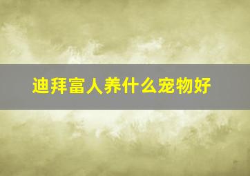 迪拜富人养什么宠物好