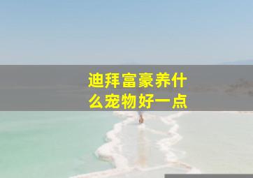 迪拜富豪养什么宠物好一点