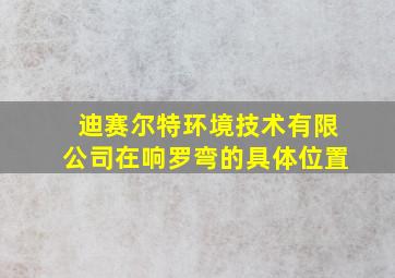 迪赛尔特环境技术有限公司在响罗弯的具体位置