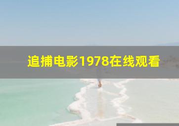 追捕电影1978在线观看