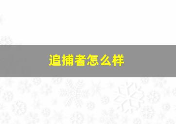 追捕者怎么样