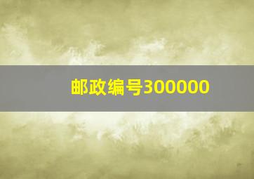 邮政编号300000