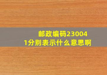 邮政编码230041分别表示什么意思啊