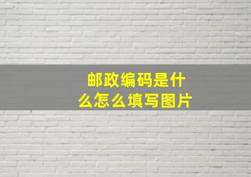 邮政编码是什么怎么填写图片