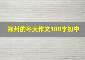 郑州的冬天作文300字初中