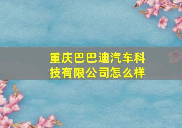 重庆巴巴迪汽车科技有限公司怎么样