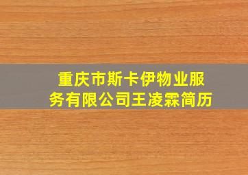 重庆市斯卡伊物业服务有限公司王凌霖简历