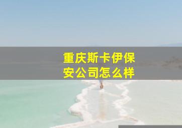 重庆斯卡伊保安公司怎么样