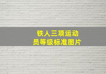 铁人三项运动员等级标准图片