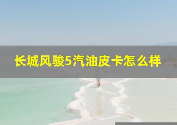 长城风骏5汽油皮卡怎么样