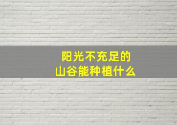 阳光不充足的山谷能种植什么