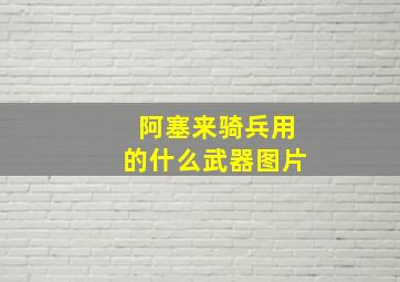 阿塞来骑兵用的什么武器图片