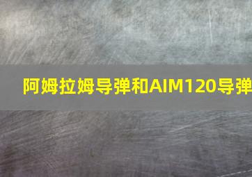 阿姆拉姆导弹和AIM120导弹