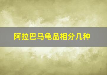 阿拉巴马龟品相分几种