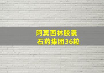 阿莫西林胶囊石药集团36粒