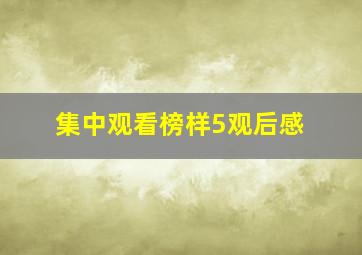 集中观看榜样5观后感