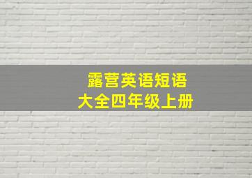 露营英语短语大全四年级上册