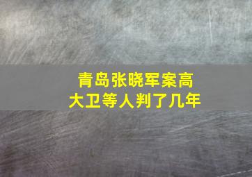 青岛张晓军案高大卫等人判了几年