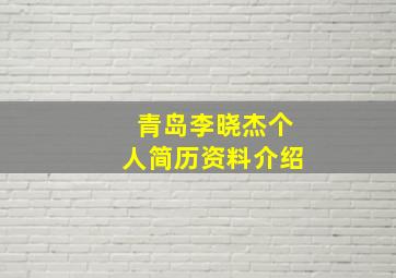 青岛李晓杰个人简历资料介绍