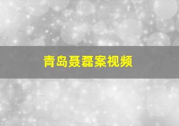 青岛聂磊案视频