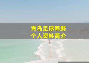 青岛足球韩鹏个人资料简介