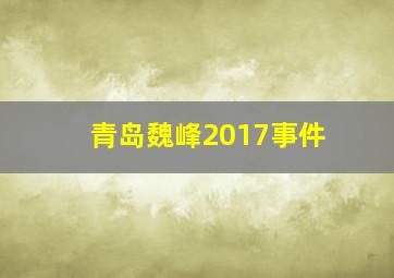 青岛魏峰2017事件