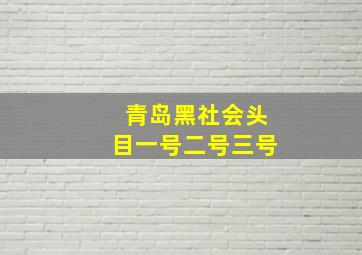 青岛黑社会头目一号二号三号