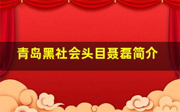 青岛黑社会头目聂磊简介