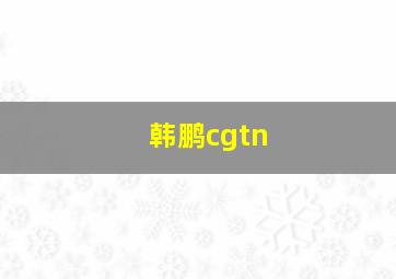 韩鹏cgtn