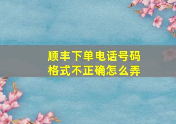 顺丰下单电话号码格式不正确怎么弄