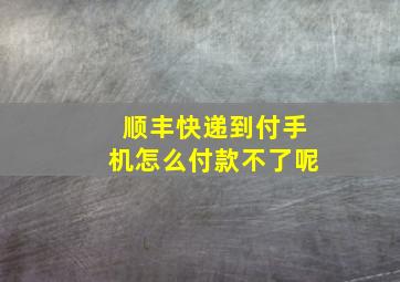 顺丰快递到付手机怎么付款不了呢