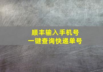 顺丰输入手机号一键查询快递单号